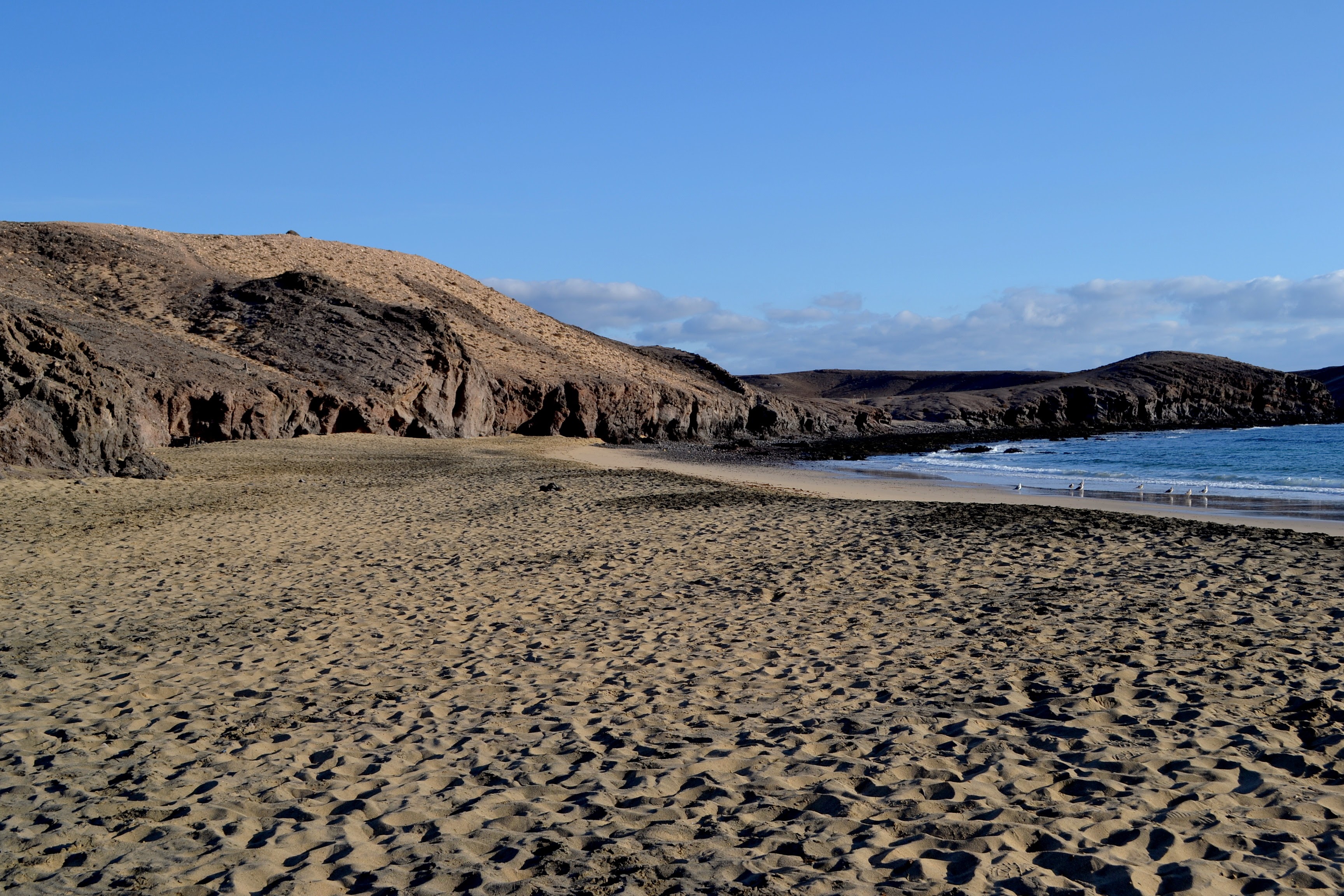 Playa Caleta del Congrio