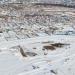Школьная территория в городе Екатеринбург