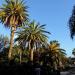 Parque La Granja (es) in Santa Cruz de Tenerife city