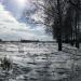 Берёзовая аллея в городе Тверь
