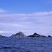 Farallon Islands