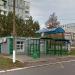 Кедр в городе Нижнекамск