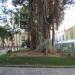 Plaza San Francisco (pl) in Santa Cruz de Tenerife city