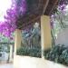 Ogrodowa pergola (pl) in Santa Cruz de Tenerife city