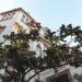 Anglo Saxon Academy (pl) in Santa Cruz de Tenerife city
