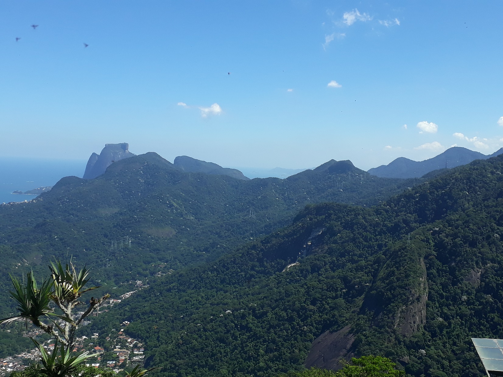 Parque Nacional Da Tijuca Setor B Serra Da Cariocacorcovado Rio De Janeiro 2028