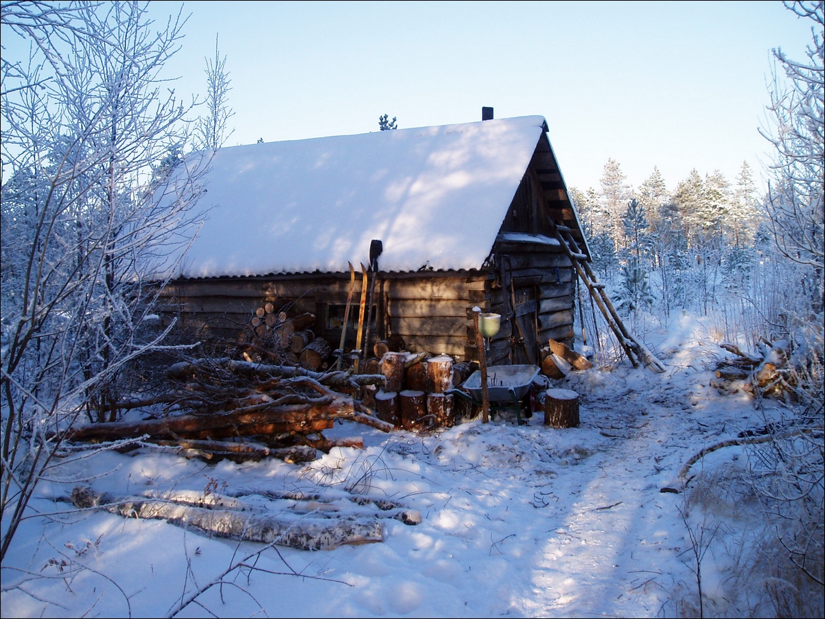 Охотничьи избы Новгородская область