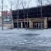 Клумбы в городе Череповец