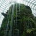 Cloud Forest in Republic of Singapore city