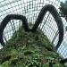 Cloud Forest in Republic of Singapore city