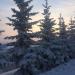 Аллея в городе Якутск