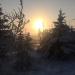 Аллея в городе Якутск