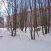 Рощица в городе Череповец