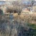 Руины Нижнерыгинского кладбища в городе Каменск-Шахтинский