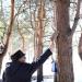 Сосновая опушка в городе Нижнекамск