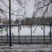 Хоккейная площадка в городе Щёлково