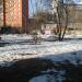 Cквер в городе Долгопрудный