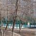 Спортивная площадка в городе Москва