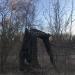 Сгоревшее дерево в городе Киев
