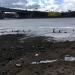 Остатки деревянных свай в городе Москва
