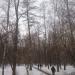 Леоновская роща в городе Москва