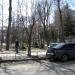 Сквер им. Мирослава Мыслы в городе Киев