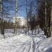 Территория Андреевской средней школы в городе Андреевка