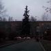 Ель в городе Москва