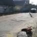 Пожарный гидрант (ru) in Brovary city