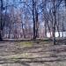 Площадка для выгула собак в городе Москва