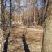 Детская игровая площадка в городе Москва