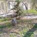 Ваза для цветов в городе Киев