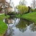 Park miejski in Brzeg city