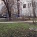 Сквер в городе Москва