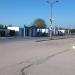 Цветочный рынок в городе Севастополь