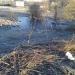 Заводь в пойме Бурцевского ручья в городе Москва