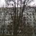 Большое дерево в городе Щёлково