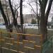 Озелененная территория перед домом в городе Щёлково