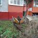 Клумба в городе Щёлково