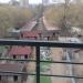 Собачий приют в городе Москва