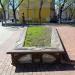 Flower bed in Homieĺ city