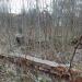 Фундамент дома в городе Красногорск