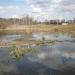 Русло реки Липка в городе Красногорск