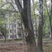 Ленинский просп., 85 корпус 6 в городе Москва