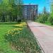Цветник в городе Москва
