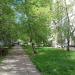 Сквер в городе Москва