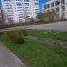 Цветник в городе Череповец