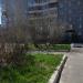 Клумба в городе Череповец