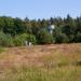 Former 64th Ordnance Company Storage Area