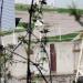 Отстойник в городе Ульяновск